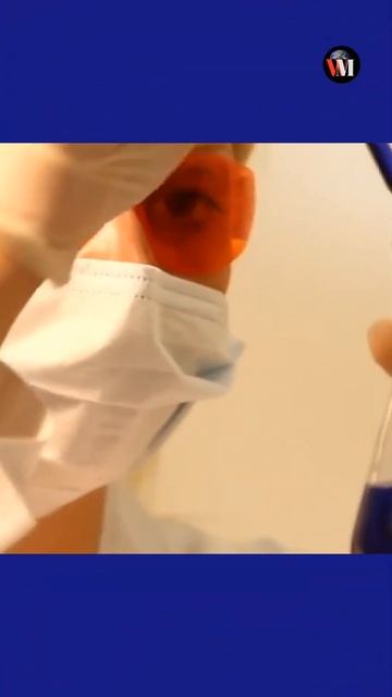 They lived on the earth before dinosaurs ! смотреть онлайн