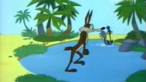 Every Wile E. Coyote Fail from the Larriva Eleven