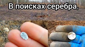 В поиске серебра по горелым полям с металлоискателем Minelab X-Terra Pro.