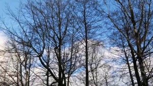 Добрый город!) Моё настоящее умиротворение души!) Приятного просмотра))