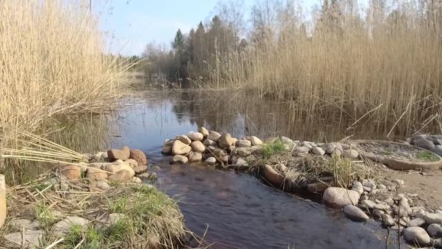 Gofish.fi Hauki Live смотреть онлайн