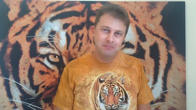 Продолжение Тренинга Бориса Жалило "Продажи: Школа Тигра" смотреть онлайн