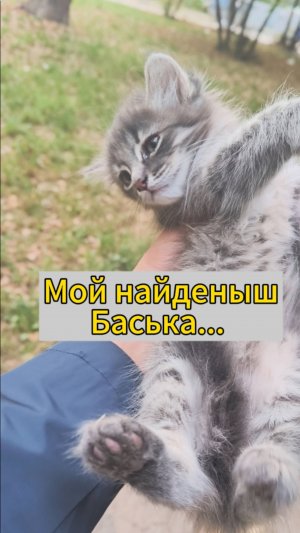 Счастливая история найденыша