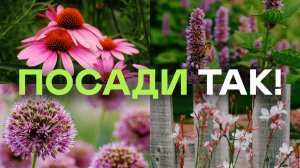 Именно Так Сочетают Растения Ландшафтники! Рассказала Простым Языком За 20 Минут
