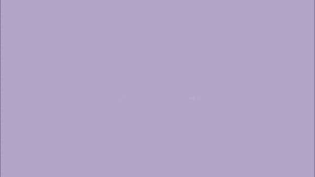 Celine's Favourite Card Games | Patricia Vlogs смотреть онлайн