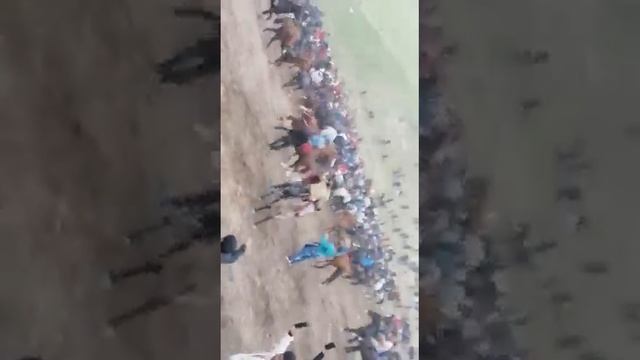 мс чуча ! буз каши н панч 23 02 2023 дасгири кунен бародаро смотреть онлайн