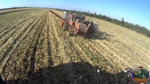 Уборка кукурузы комбайном ДОН-1500А с жаткой КМС-6.