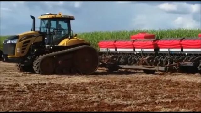 plantio de milho com tractor challenger mt 765 e semeadeira MF/ Corn planting in 2016