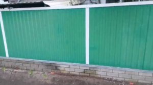 Что вы знаете о деревьях?