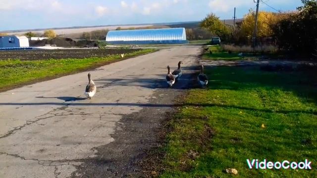 ОБРЕТИТЕ ДУШЕВНОЕ СПОКОЙСТВИЕ ❤ ПОСМОТРЕВ ЭТО ВИДЕО! РЕАЛЬНО РАБОТАЕТ! смотреть онлайн