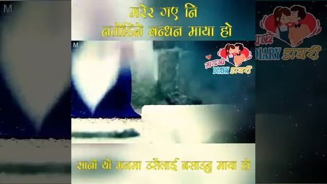 मरेर गएनी नतोडिने बन्धन माया | Marer Gaya Ni Natodine Bandhan Maya Ho| Lyric/maayakodiary смотреть онлайн