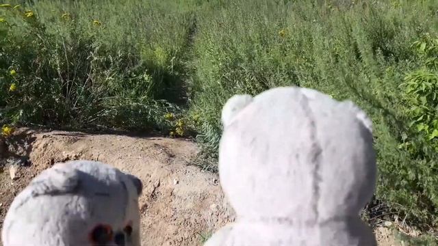 Охота на динозавра смотреть онлайн