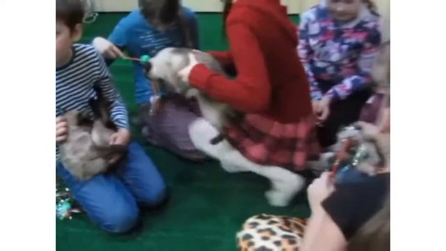 Орел смотреть онлайн