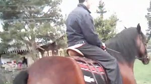 катаюсь  на лошади в Мандрогах