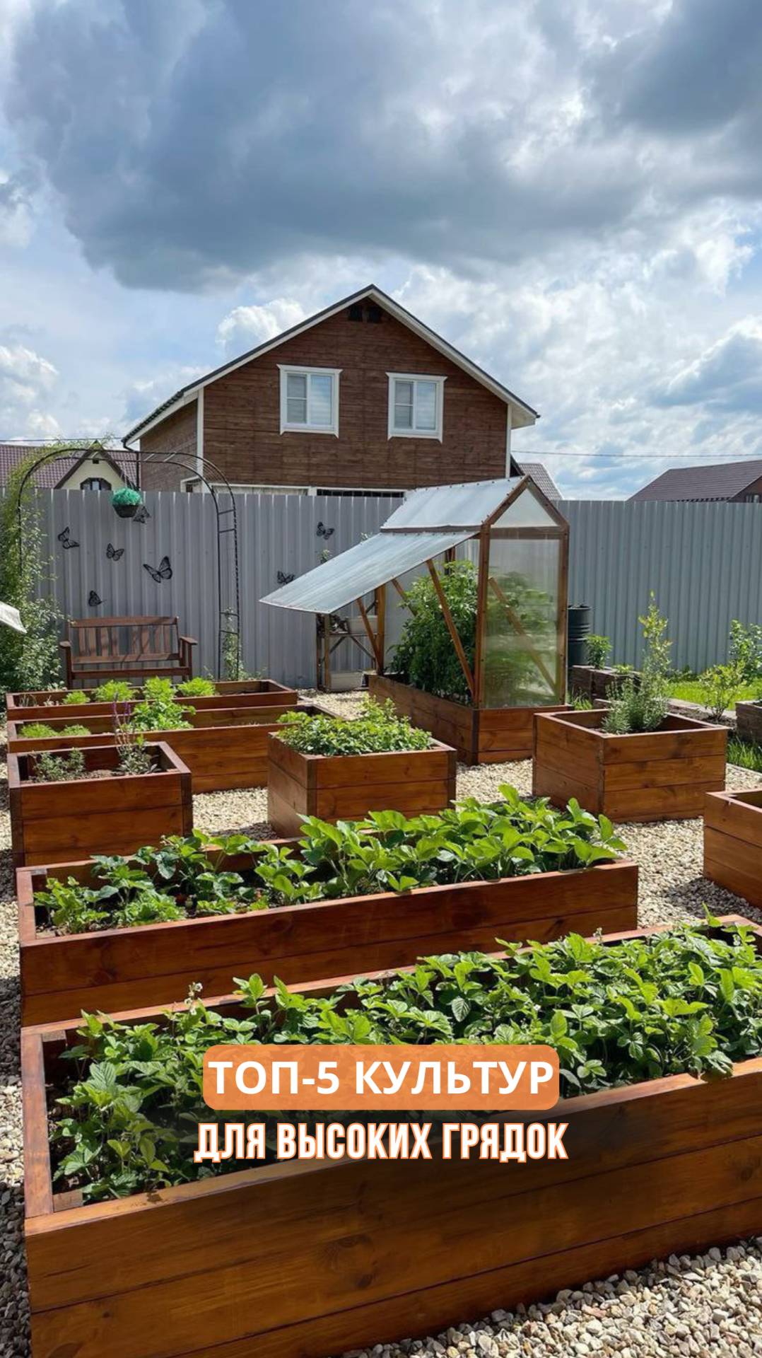 ТОП-5 культур для высоких грядок смотреть онлайн