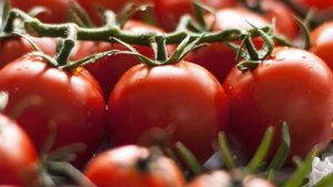 Польза помидор - это интересно знать