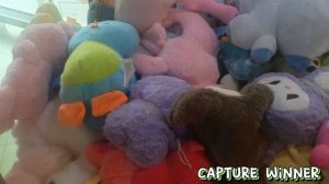 ПИНГВИН ИЛИ БОЛЬШОЕ АВОКАДО?🐧🥑, а также будет игра на сову и ждуна 🥰ВСЕМ ПРИЯТНОГО  ПРОСМОТРА🍹🍿