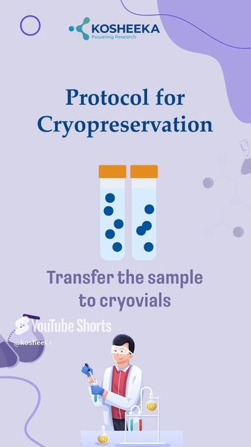 High-Quality Cryopreserved Primary Cells | Kosheeka