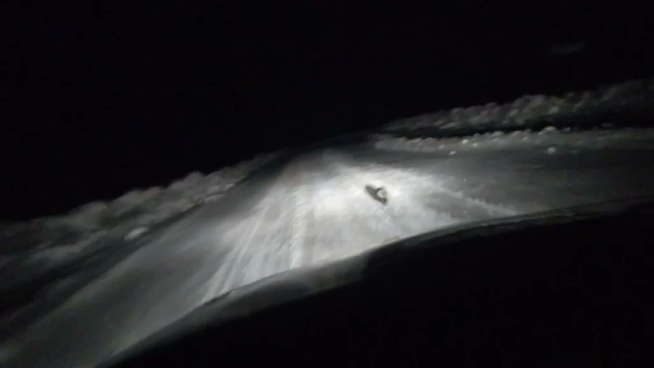 ХОВЕР И ЕНОТОВИДНАЯ СОБАКА