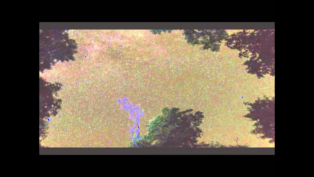 Зорнае неба па-над Бярэжжам (таймлэпс)