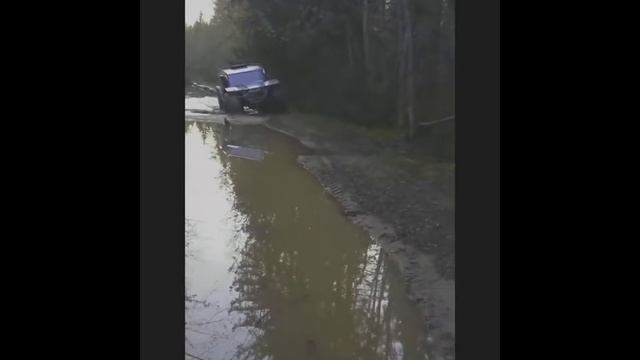 Мангуст Патруль июнь 2017г. смотреть онлайн