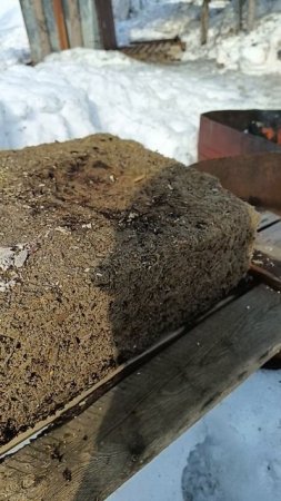 опилкобетон после зимовки