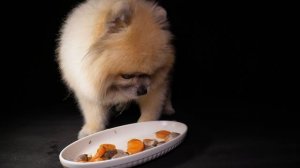 куриные сердечки (шпиц/еда на камеру)