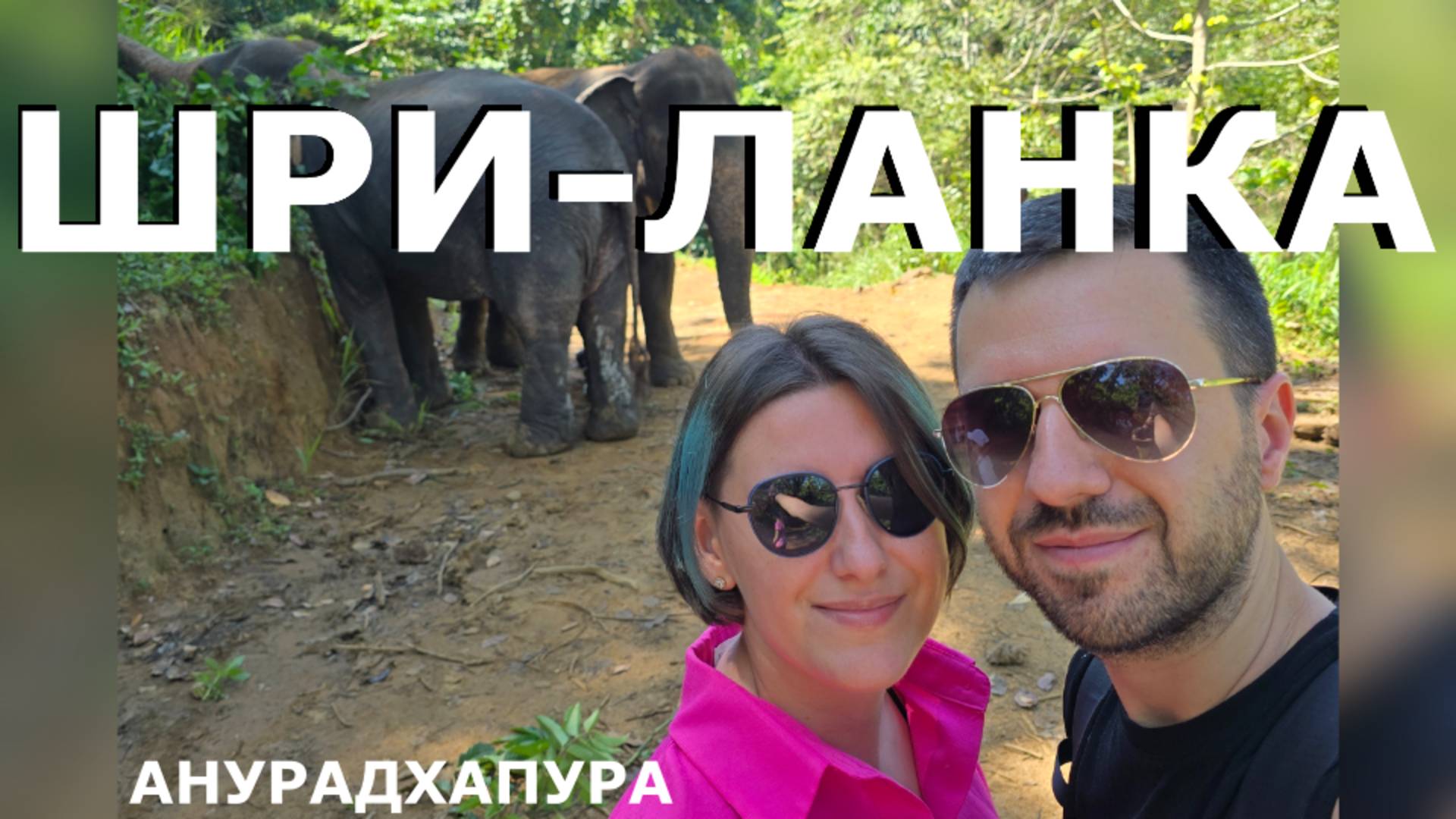 Шри-Ланка. Закрываем гештальт. Древний город и джип-сафари в национальном парке