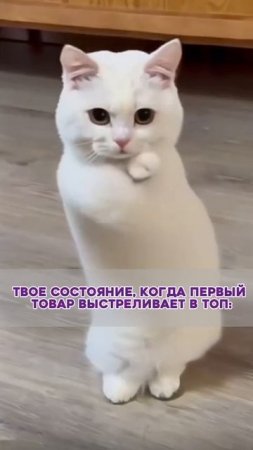 Опиши свою реакцию на первую продажу одним словом!
