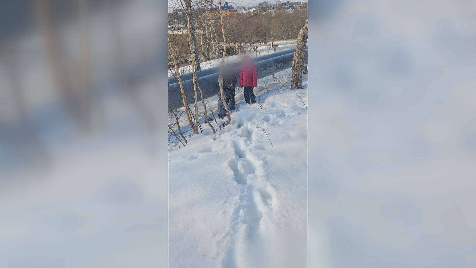 СНЕЖНАЯ ЛОВУШКА