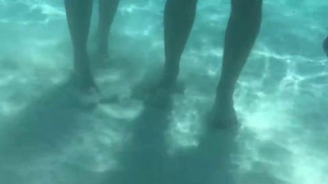 Stingray City, Grand Cayman 2018 смотреть онлайн