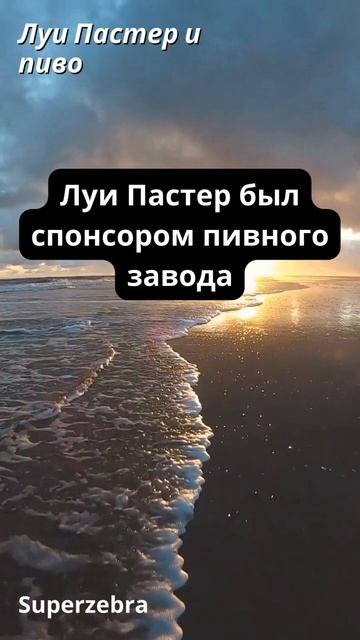 Интересные факты о знаменитостях смотреть онлайн