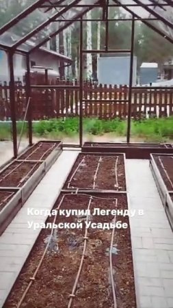 стеклянная легенда теплицы