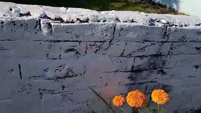 Bokata bakhor bangana смотреть онлайн