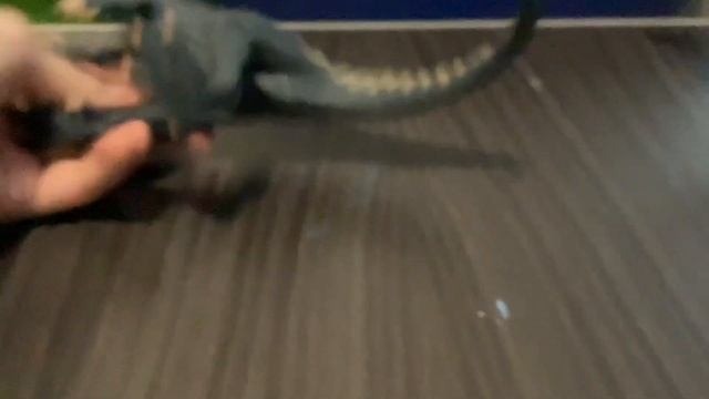 Ultimate Dino Battle: Baryonyx vs Isanosaurus смотреть онлайн