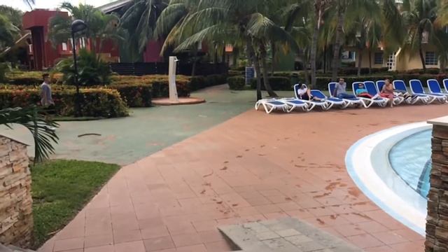 Barceló arenas blancas trip HD смотреть онлайн