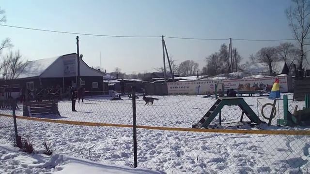 DSCF1329 смотреть онлайн