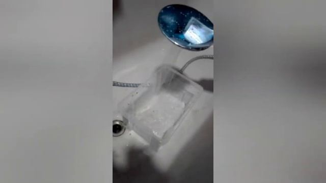 Cómo limpiar la jaula de tus caracoles смотреть онлайн