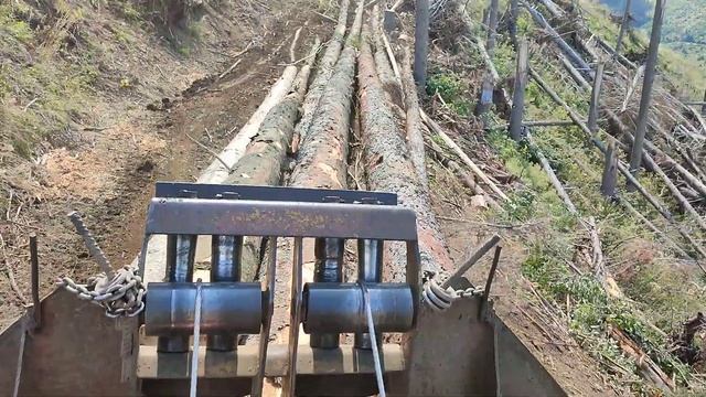 SKIDDER LKT 81 T