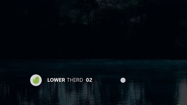 Logo Lower Thirds | Premiere Pro Templates | Videohive смотреть онлайн