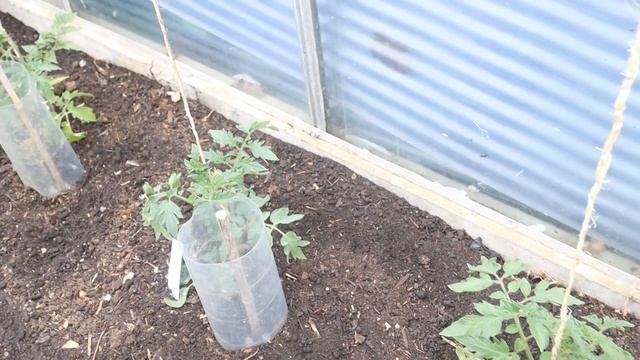 The No Dig Greenhouse And Polytunnel Part 2 смотреть онлайн