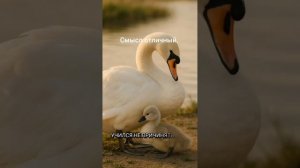 Нужно ценить дружбу, а не просто уметь вместе веселиться.Трудности улучшают жизнь.