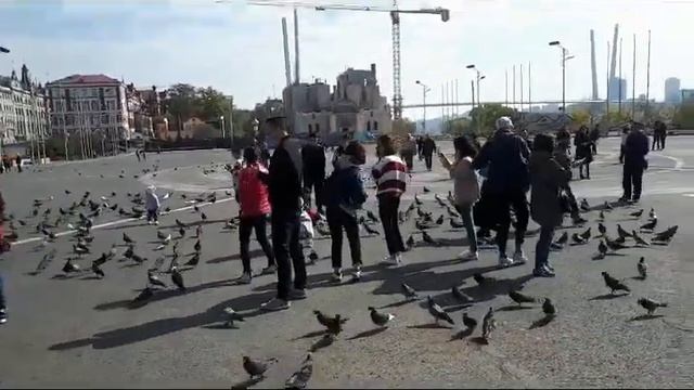 Владивосток. Площадь Борцов. Люди и голуби. смотреть онлайн