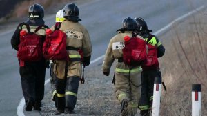 В Забайкалье огнеборцы тушат 48 действующих лесных пожаров