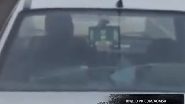 Играет в карты, сидя за рулем смотреть онлайн