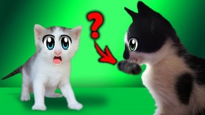 КЛУБНИЧНЫЙ КОТ МАЛЫШ СЛОВИЛ НАРУШИТЕЛЯ ! ДАЛИ ИМЯ КОТЕНКУ ! КОШЕЧКА МУРЗЯ ! А ну-ка давай-ка