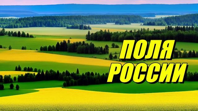 Поля России