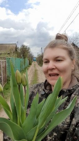 Срезала тюльпанов домой🌷