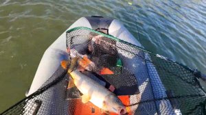 СУПЕР РЫБАЛКА СПЛАВОМ, КРУПНЫЙ САЗАН НА БУТЫЛКИ, РЕКА МАНЫЧ!