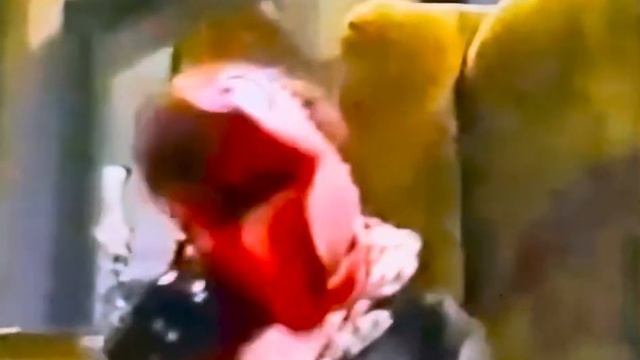 Sesame Street- Placido Flamingo The Telephone of Brazil смотреть онлайн